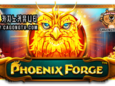 프라그마틱 Phoenix Forge (피닉스 포지)